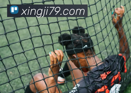 企业概况